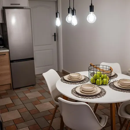 Geri Vintage * ザラエゲルセグ