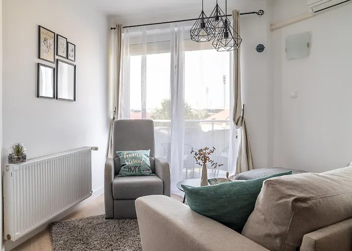 Geri Vintage ザラエゲルセグ