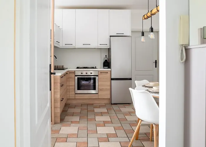 Geri Vintage * ザラエゲルセグ