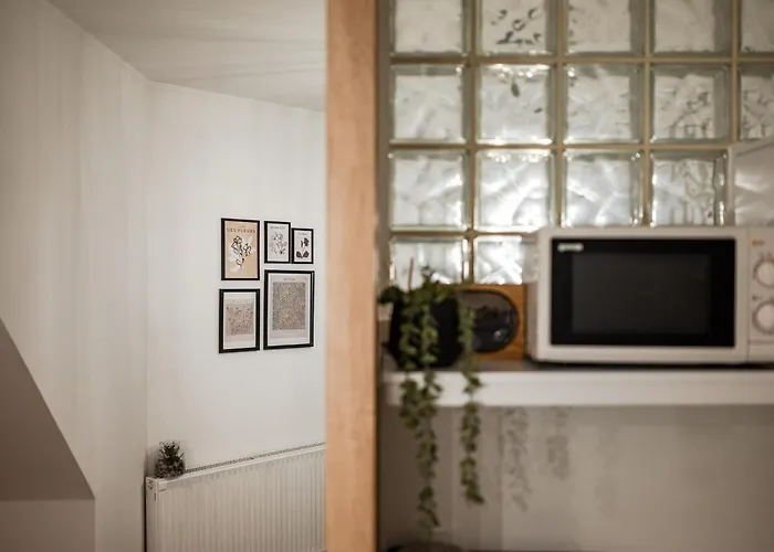 Geri Vintage アパート *